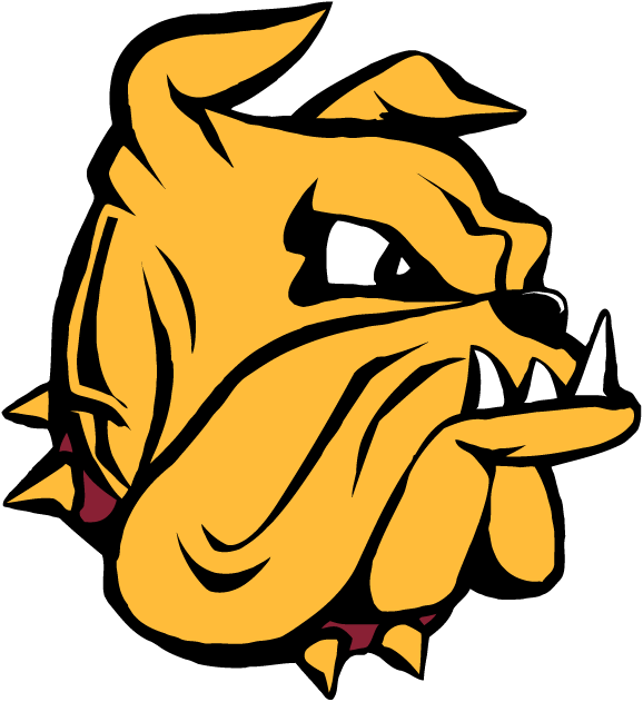 Minnesota-Duluth Bulldogs 1996-Pres Secondary Logo diy iron on heat transfer